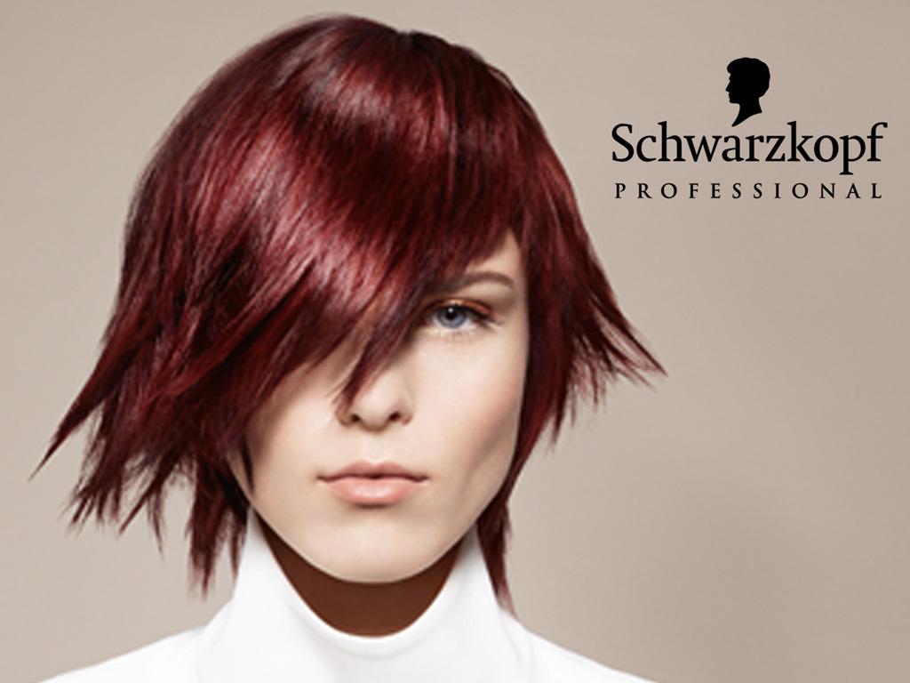 For the trendy looks-try our cut, color and treatment.