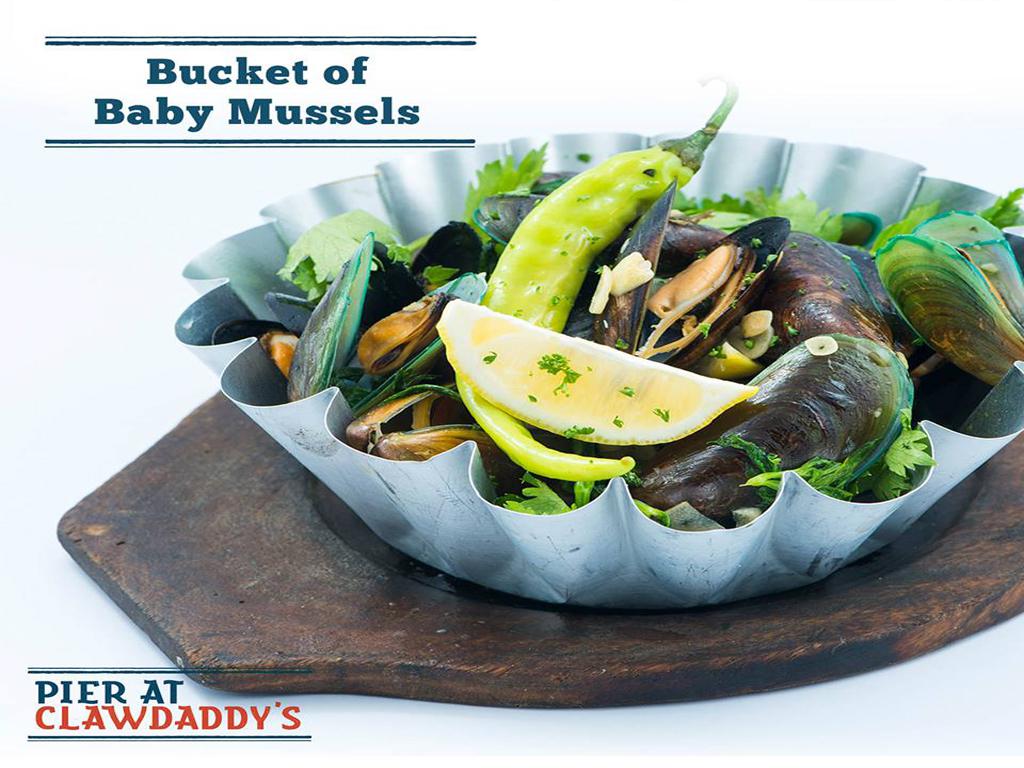 Bucket of Baby Mussels