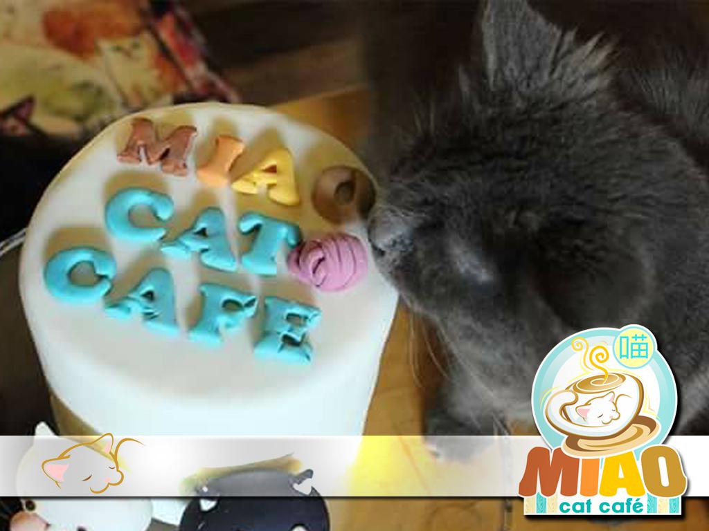 Miao Cat Cafe