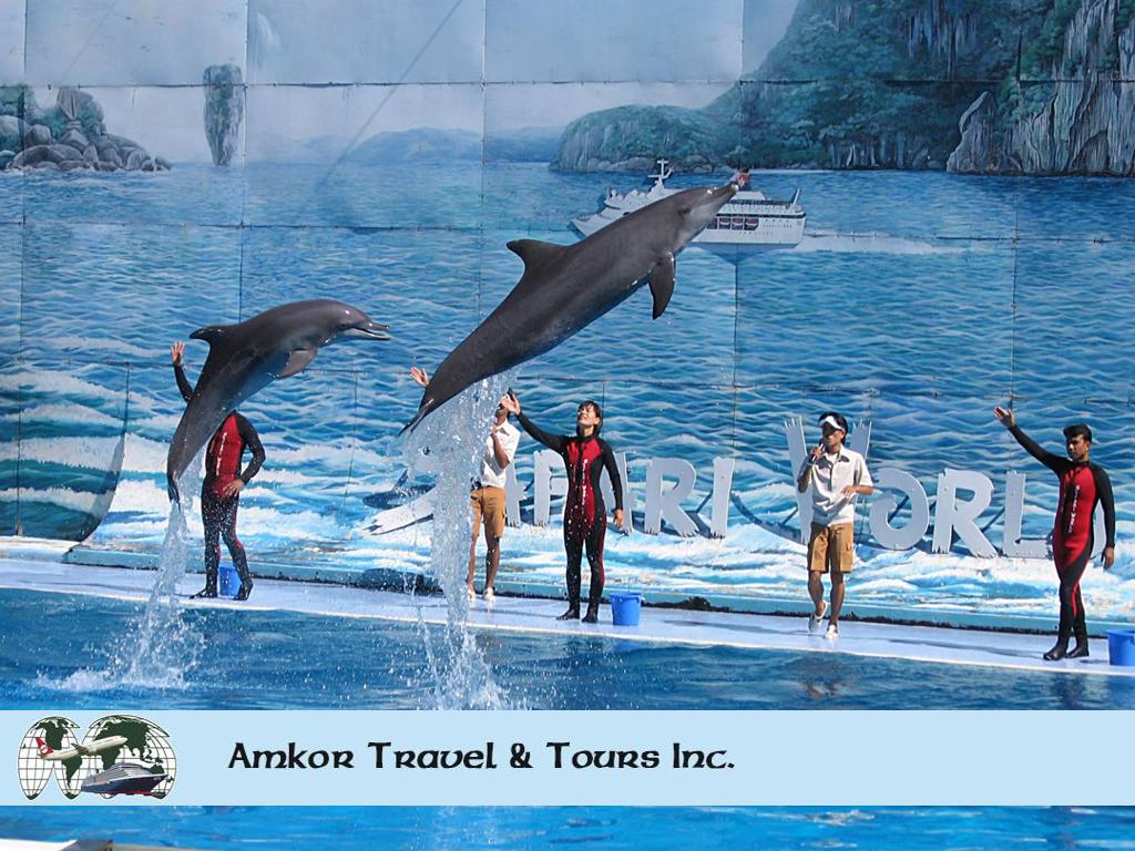 Amkor Travel & Tours Inc image Destination