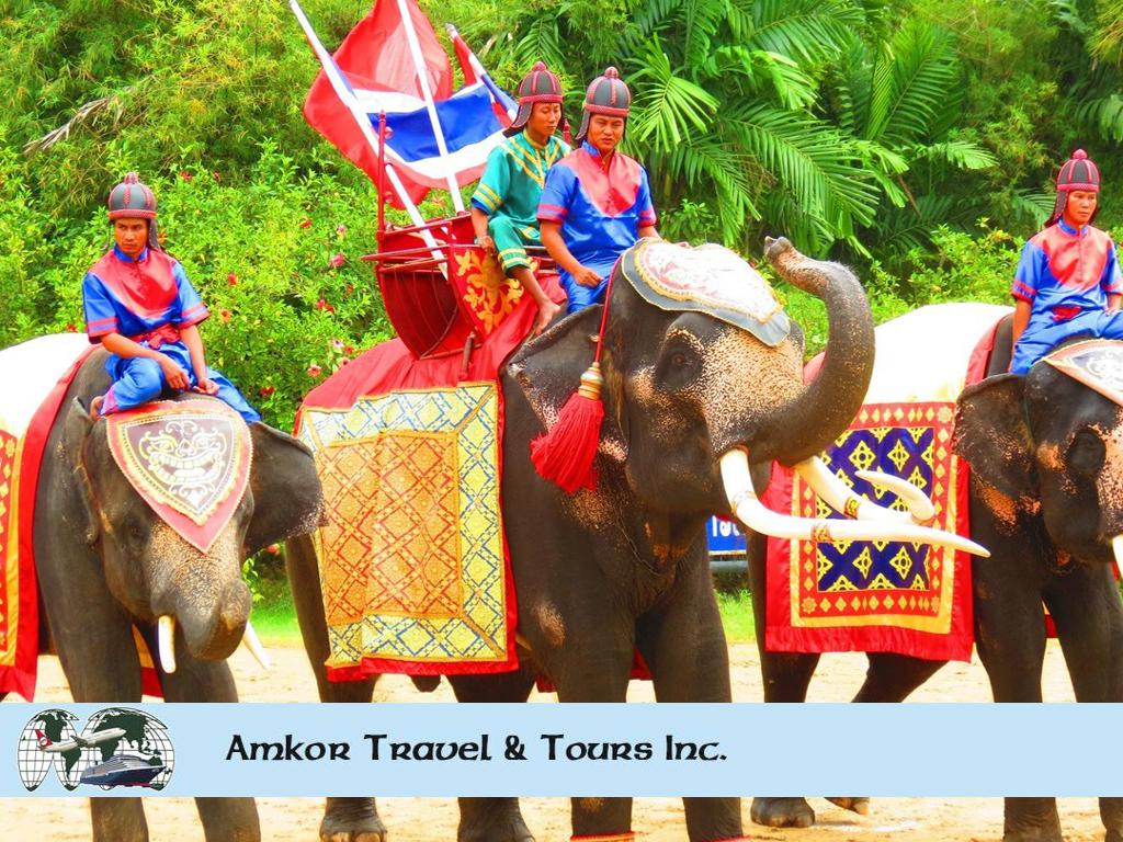 Amkor Travel & Tours Inc image Destination