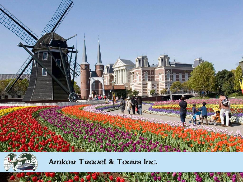 Amkor Travel & Tours Inc image Destination