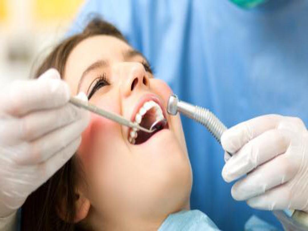 Ziba Dental Service