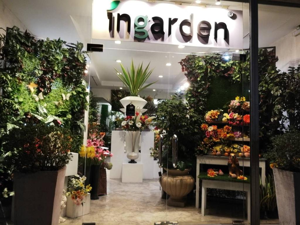 Ingarden Images