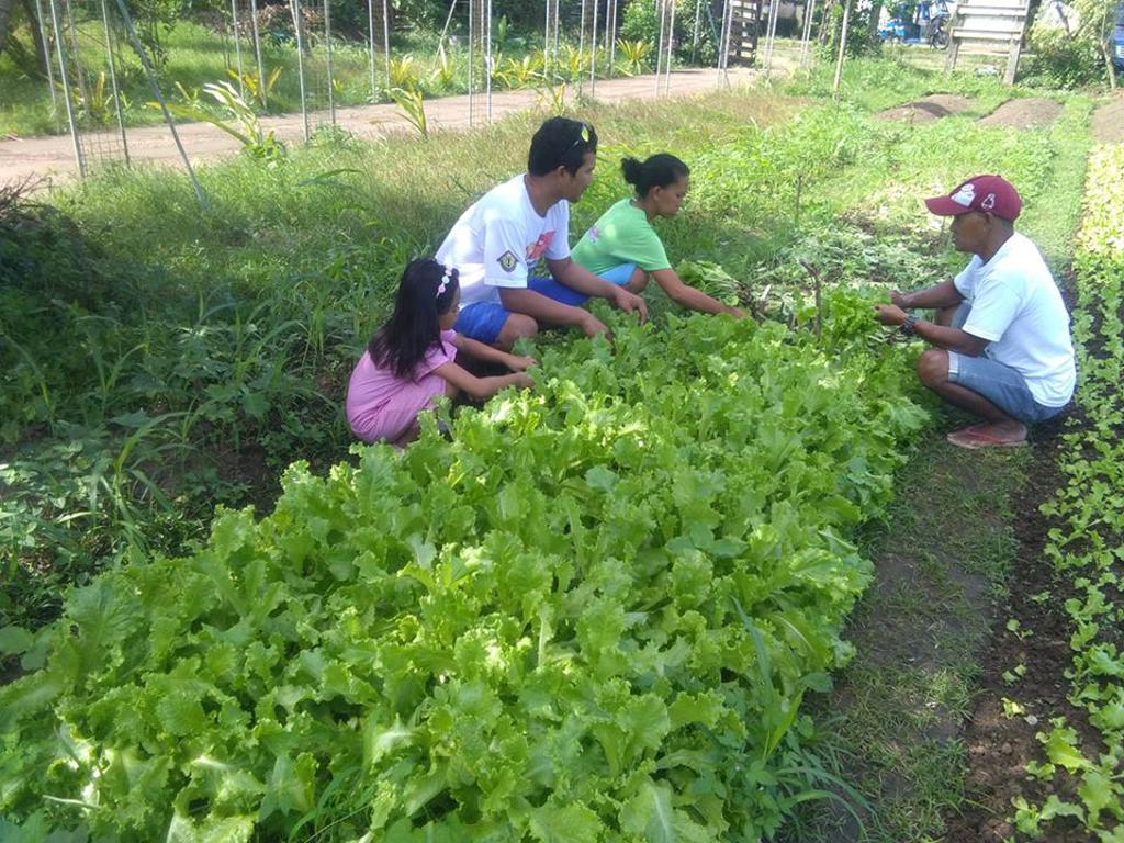 Harbest Agribusiness Corporation