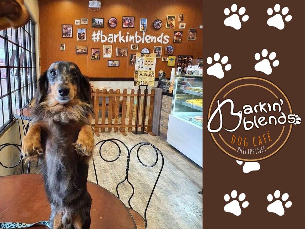 Barkin' Blends Dog Cafe