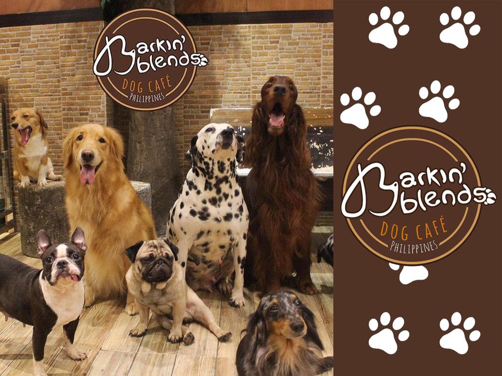 Barkin' Blends Dog Cafe