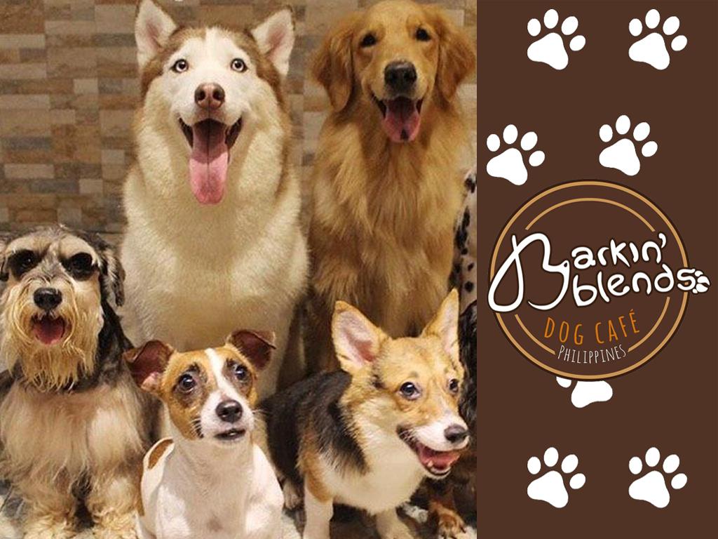 Barkin' Blends Dog Cafe