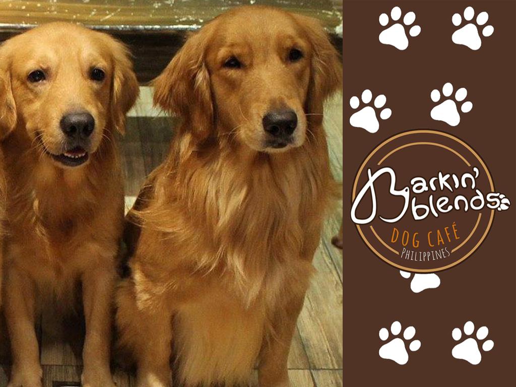 Barkin' Blends Dog Cafe