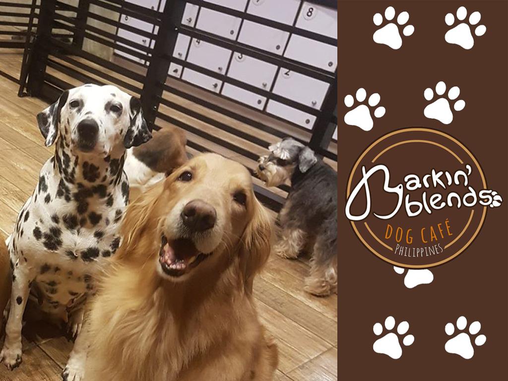 Barkin' Blends Dog Cafe