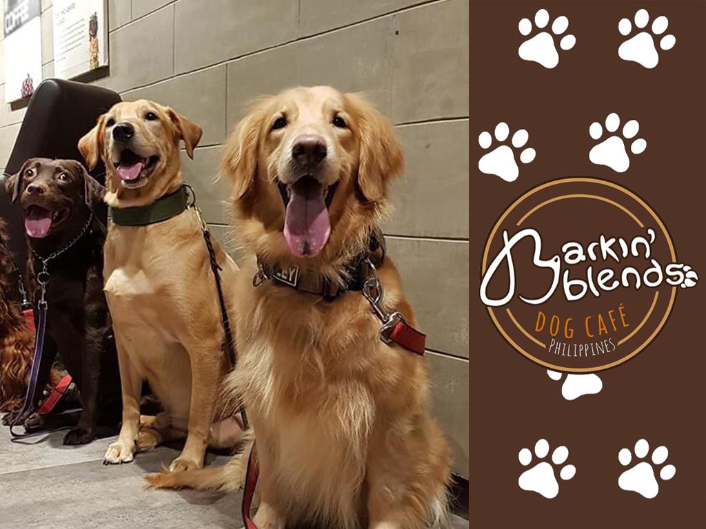 Barkin' Blends Dog Cafe