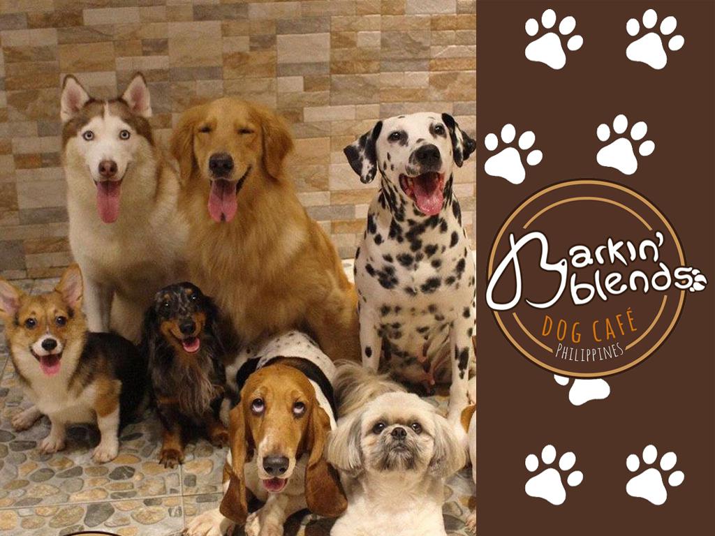 Barkin' Blends Dog Cafe