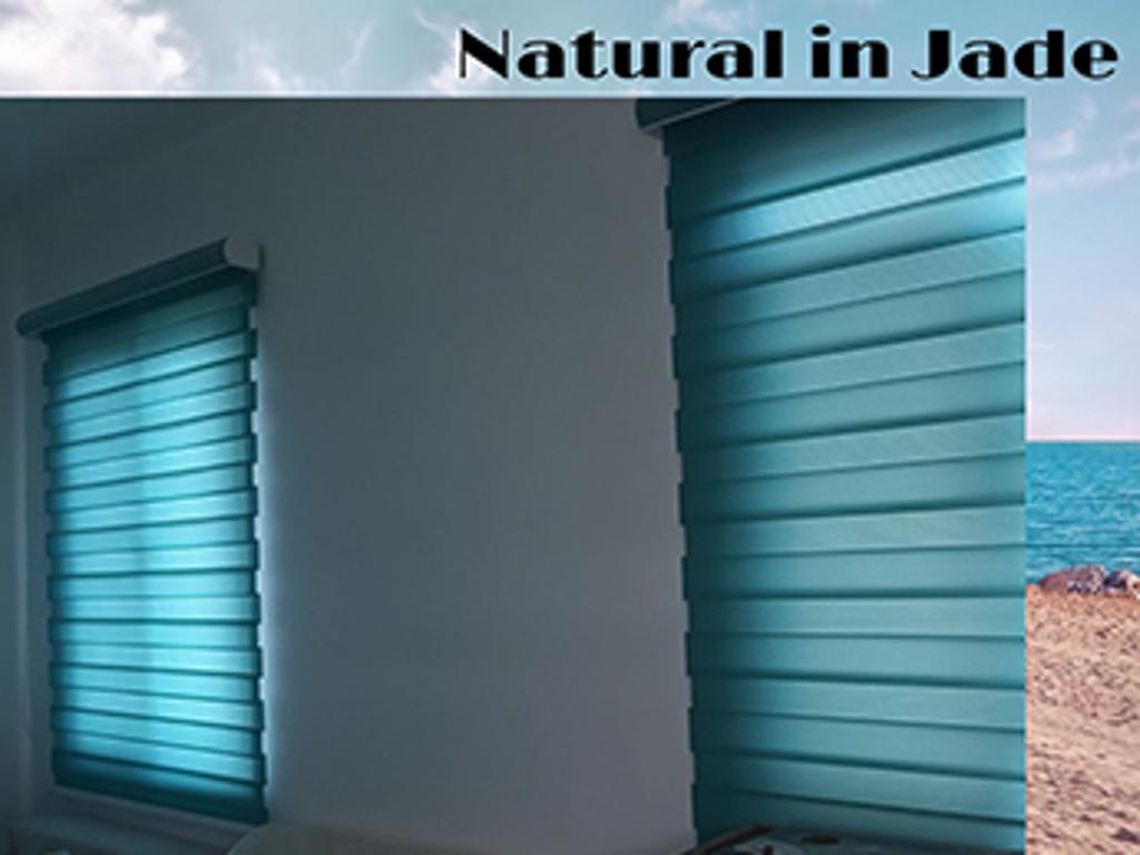 Korean Window Blinds PH